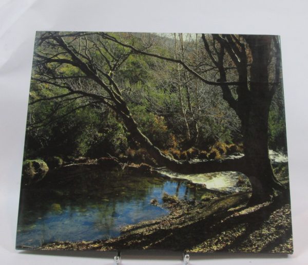 La naturaleza en madrid