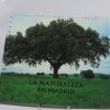La naturaleza en madrid