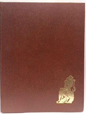 El mundo de la pareja . tomo 1