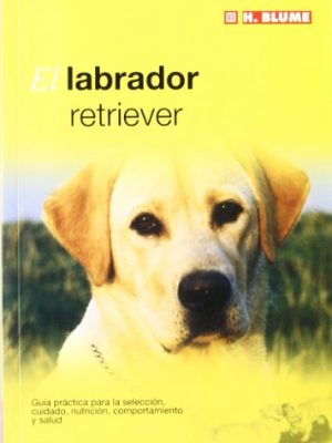 El labrador retriever