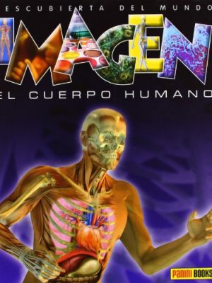 El cuerpo humano ( imagen)