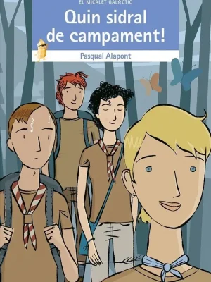 Quin sidral de campament!