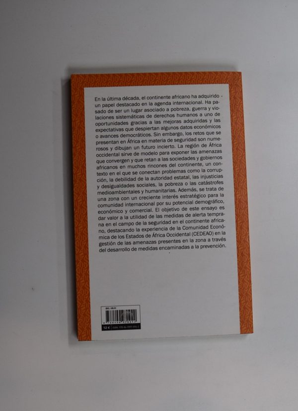 Los retos de seguridad en áfrica