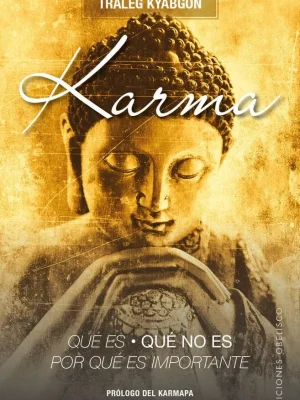 9788491112358_karmaque-es-que-no-es-por-que-es-importante_front-1.webp Karma.qué es, qué no es, por qué es importante