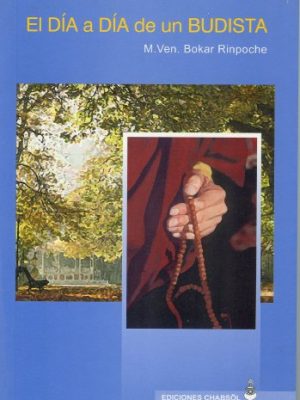 El dia a dia de un budista (spanish edition)