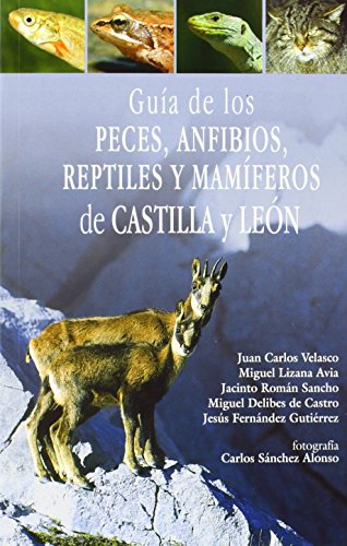 9788493373016_guia-de-los-peces-anfibios-reptiles-y-mamiferos-de-castilla-y-leon_front-3.jpg Guía de los peces, anfibios, reptiles y mamíferos de castilla y león