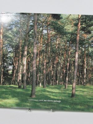 Castilla y león: un cierto paisaje
