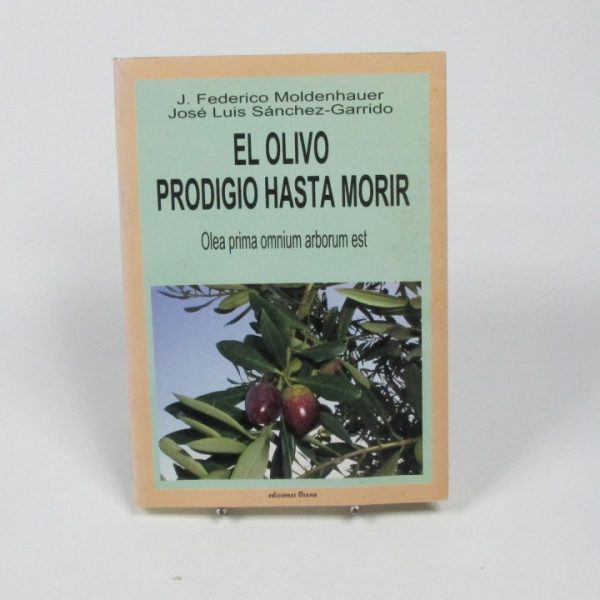 El olivo prodigio hasta morir