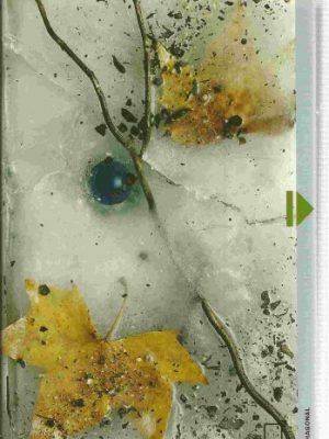 El secreto de amanda (spanish edition)