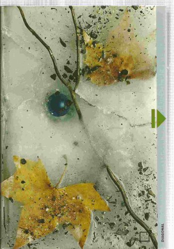 El secreto de amanda (spanish edition)