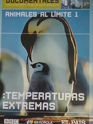 Cuentos infantiles. la bella y la bestia nº 24 - para leer, jugar y aprender