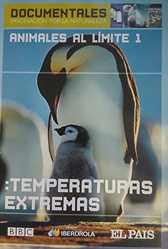Cuentos infantiles. la bella y la bestia nº 24 - para leer, jugar y aprender