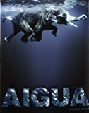 Aigua
