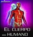 Preguntas y respuestas sobre el cuerpo humano
