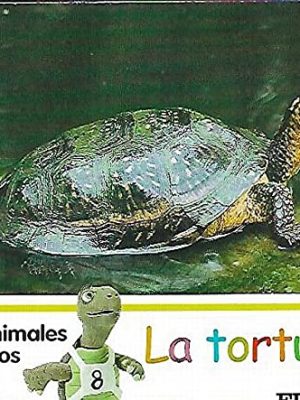 9788498204353_mis-animales-favoritos-19-la-tortuga_front-1.jpg Mis animales favoritos, 19: la tortuga