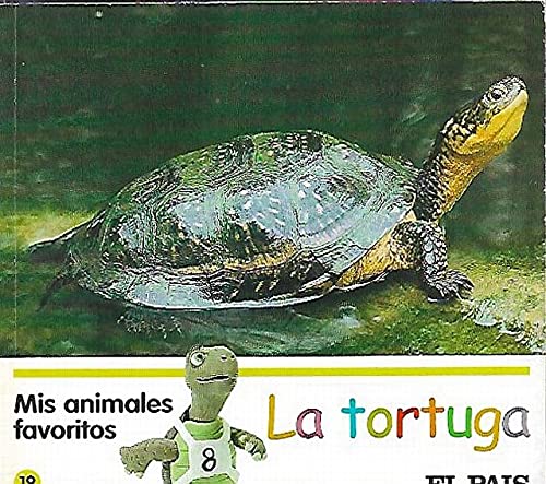 Mis animales favoritos, 19: la tortuga