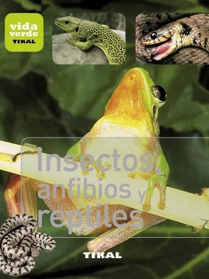 Insectos, anfibios y reptiles