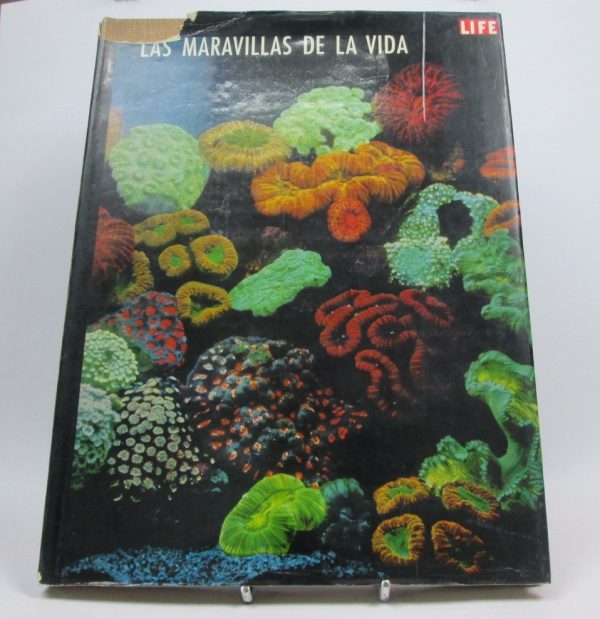 Las maravillas de la vida