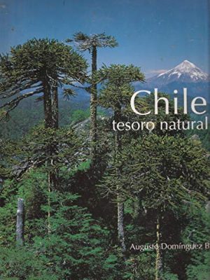 Chile, tesoro natural (spanish edition)
