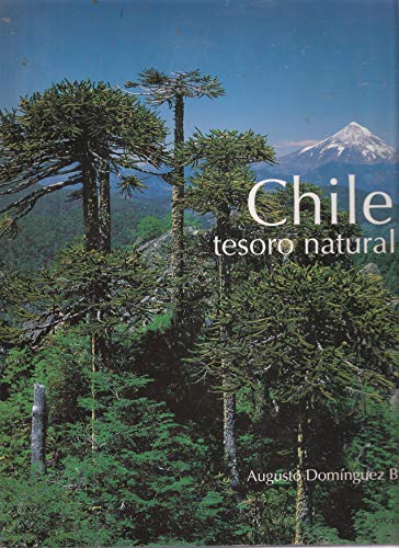Chile, tesoro natural (spanish edition)