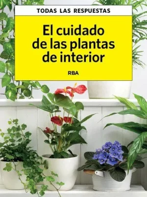 El cuidado de las plantas de interior