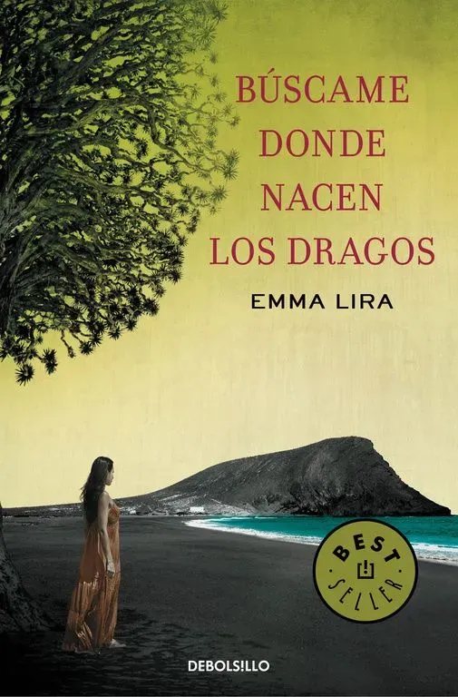 covers2F9788490327210_1000x1000.webp Búscame donde nacen los dragos